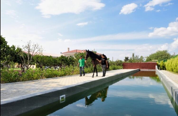 B. Equine Range Hotel Narlidere Exterior foto